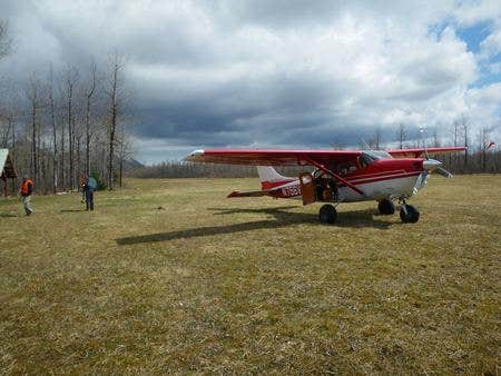 Camper submitted image from Alsek River Cabin - 4