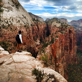 Review photo of Zion RV and Campground (Hi-Road) by Morgan Z., September 7, 2016