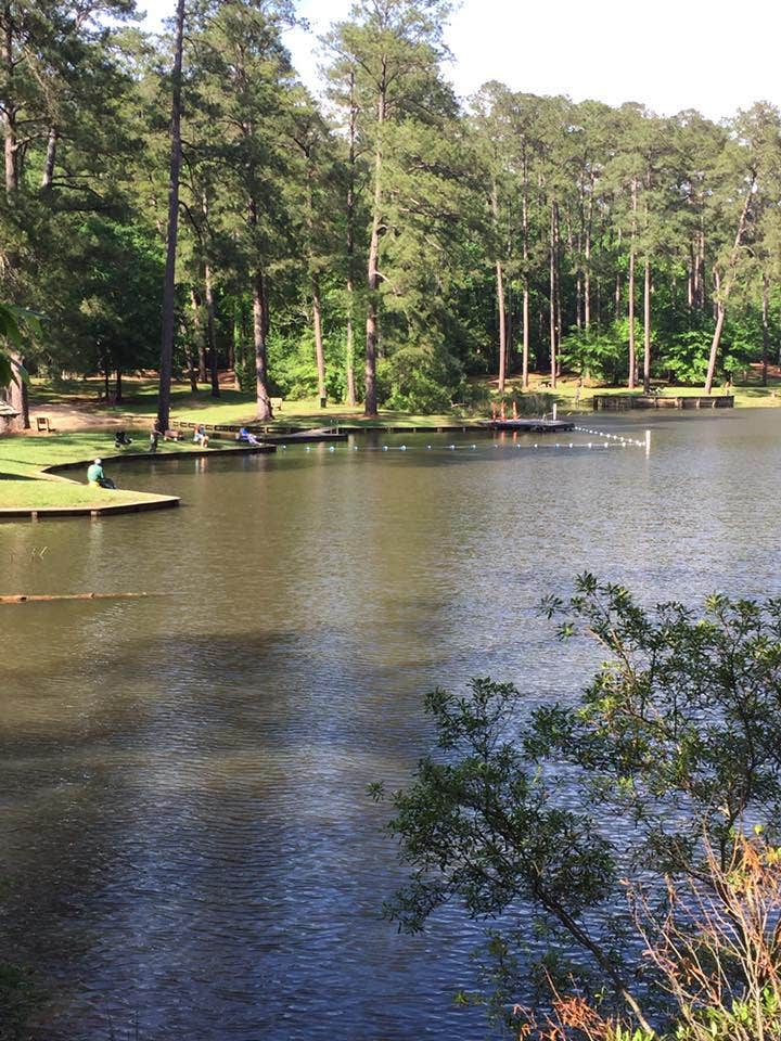 Homochitto/Clear Springs The Dyrt