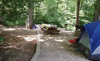 The Dyrt's photo at Cave Mountain Lake Group Camp — George Washington & Jefferson National Forest near Huddleston, VA