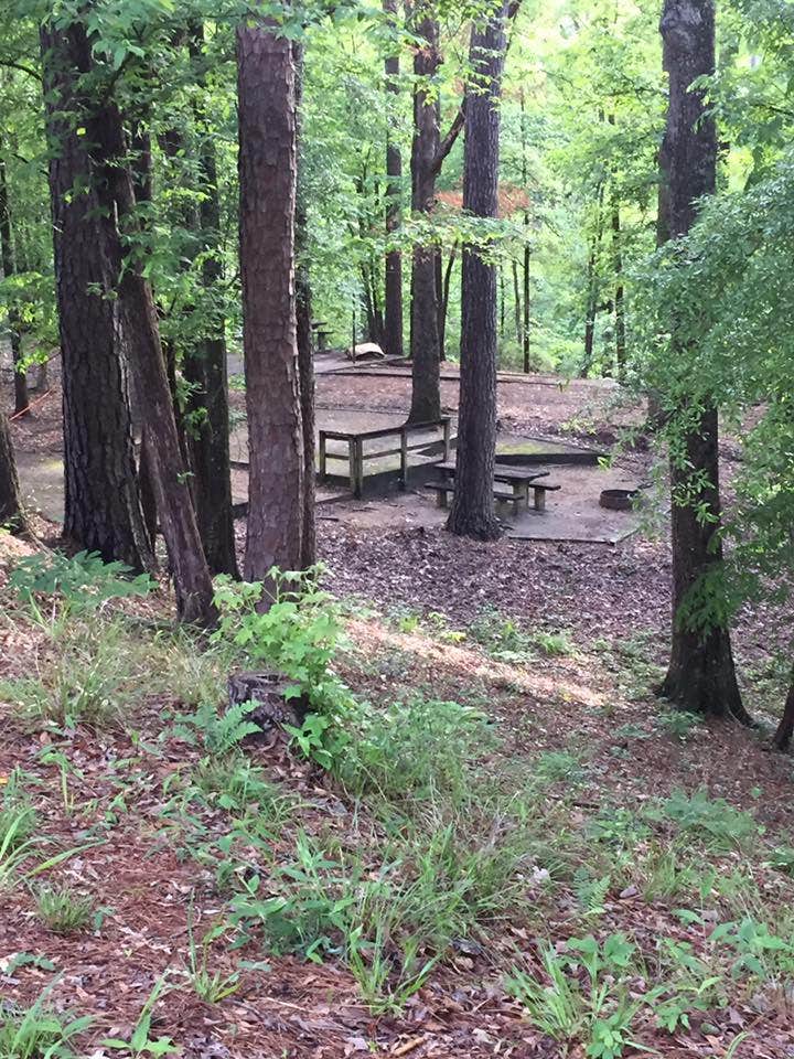 Camper submitted image from Clear Springs Lake Rec Area NF Campground - 1