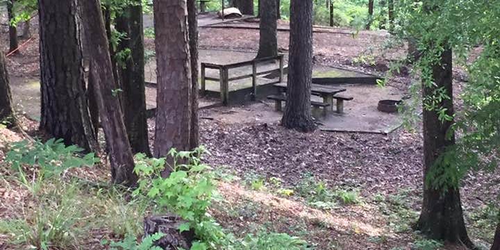 Camper submitted image from Clear Springs Lake Rec Area NF Campground