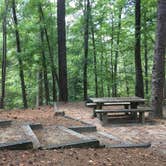 Review photo of Clear Springs Lake Rec Area NF Campground by Sharon A., September 7, 2016