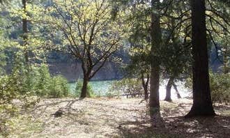 Camping near Pine Point (CA): Moore Creek Campground, Lakehead, California