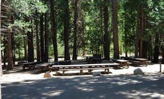 Camping near Princess: Aspen Hollow Campground, Hume, California