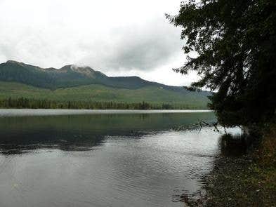 Camper submitted image from Florence Lake (east) Cabin - 4