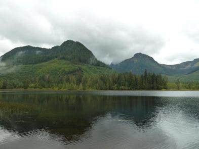 Camper submitted image from Florence Lake (east) Cabin - 3