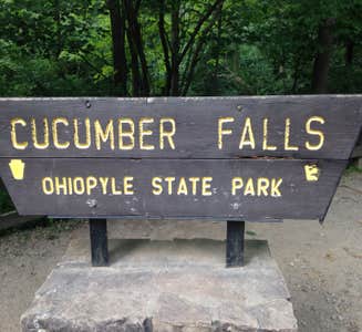 Camper-submitted photo from Kentuck Campground — Ohiopyle State Park