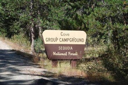 Camper submitted image from Cove Group Campground - 2