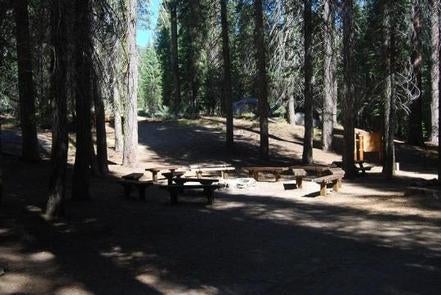 Camper submitted image from Cove Group Campground - 1