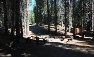 Camping near Dorst Creek Campground — Sequoia National Park: Cove Group Campground, Hartland, California