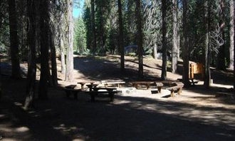 Camping near Pear Lake Winter Hut — Sequoia National Park: Cove Group Campground, Hartland, California