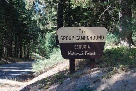 Camper submitted image from Fir Group Campground - 2