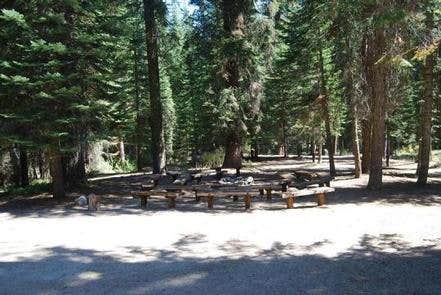 Camper submitted image from Fir Group Campground - 1