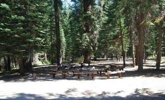 Camping near Big Meadows Cabin (CA): Fir Group Campground, Hartland, California