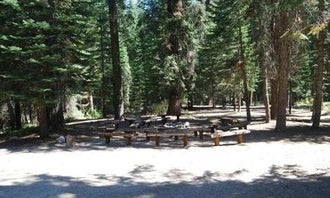 Camping near Dorst Creek Campground — Sequoia National Park: Fir Group Campground, Hartland, California