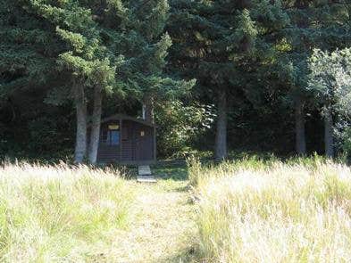 Sergief Island Cabin surroundings of tall grasses and trees



Sergief Island Cabin surroundings

Credit: USFS