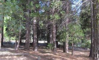 Camping near QuailValley: Long Meadow Group Campground, Johnsondale, California