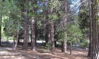 Long Meadow Group Campground