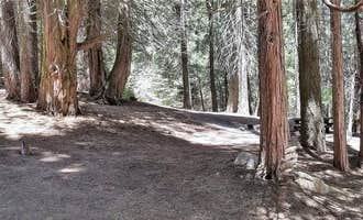 Camping near Redwood Meadow: Holey Meadow Campground, Johnsondale, California