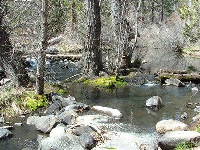 Camper-submitted photo at Chilcoot Family Campground near Chilcoot, CA