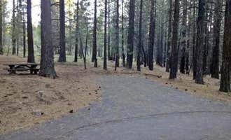 Camping near Chilcoot Family Campground: Cottonwood Springs Campground, Chilcoot, California