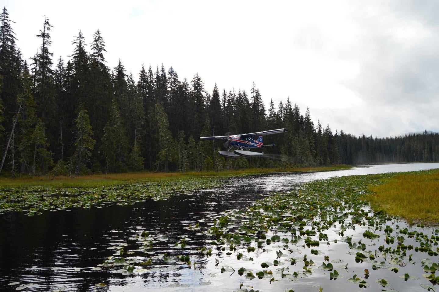 Plane taking off from Peterson Lake



Credit: USFS