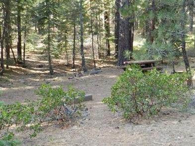 Camper submitted image from Cottonwood Campground - 5