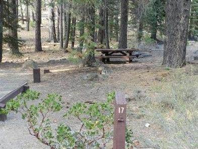 Camper submitted image from Cottonwood Campground - 4