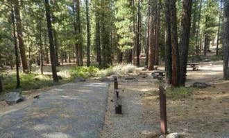 Camping near Lower Little Truckee: Cottonwood Campground, Sierraville, California