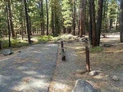 Camper submitted image from Cottonwood Campground - 1