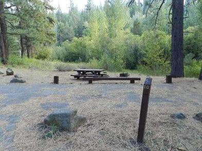 Camper submitted image from Cottonwood Campground - 2