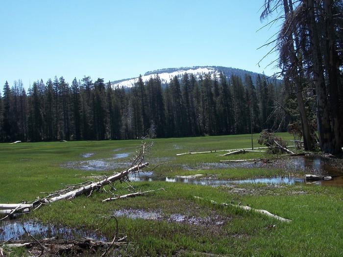 Camper submitted image from Big Meadows Cabin (CA) - 1