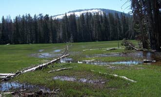 Camping near Twin Lakes Trail Campsites — Sequoia National Park: Big Meadows Cabin (CA), Hume, California