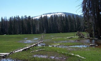 Camping near Weaver Lake Trail Campsites: Big Meadows Cabin (CA), Hume, California