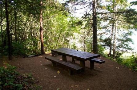 Camper submitted image from Willamette National Forest Packard Creek Campground - 5