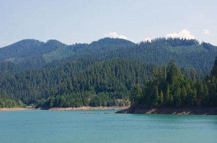 Camper submitted image from Willamette National Forest Packard Creek Campground - 2