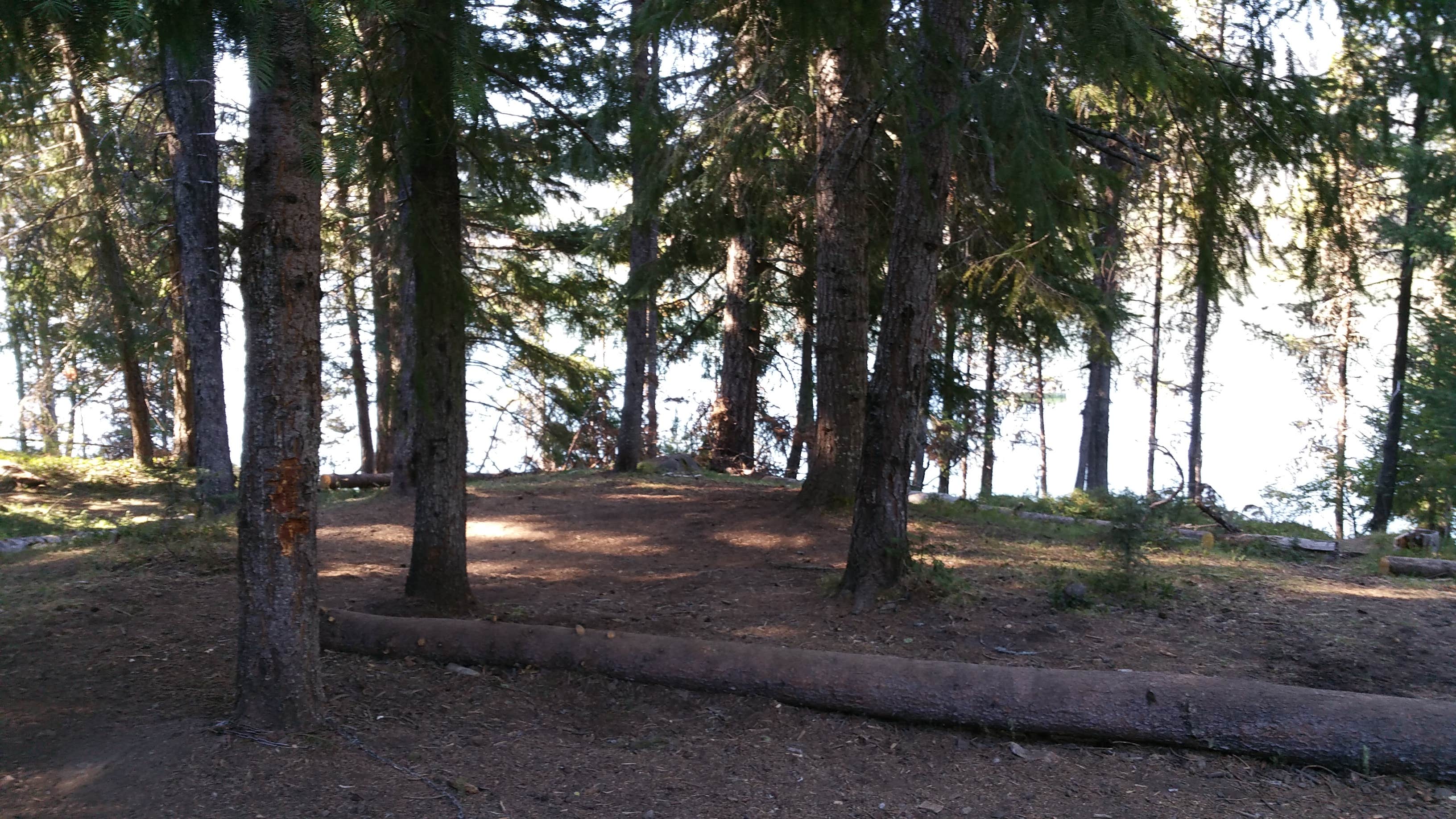 Camper submitted image from Bunker Hill Campground - 2