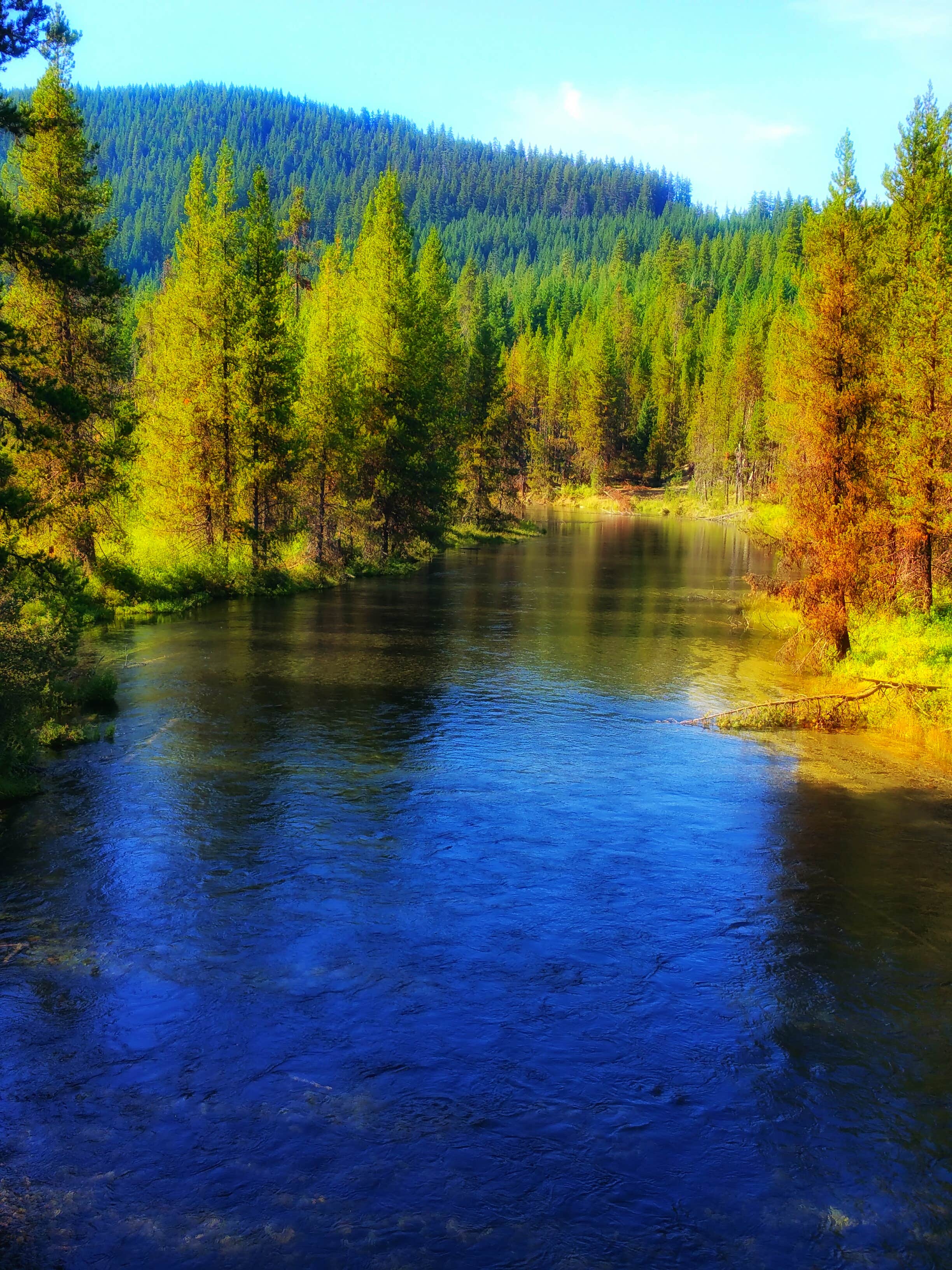 View All