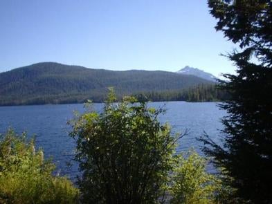 Camper submitted image from Lake Alexander Cabin - 5