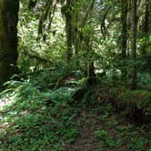 Review photo of Horse Creek Group Campground by Amber D., September 7, 2016