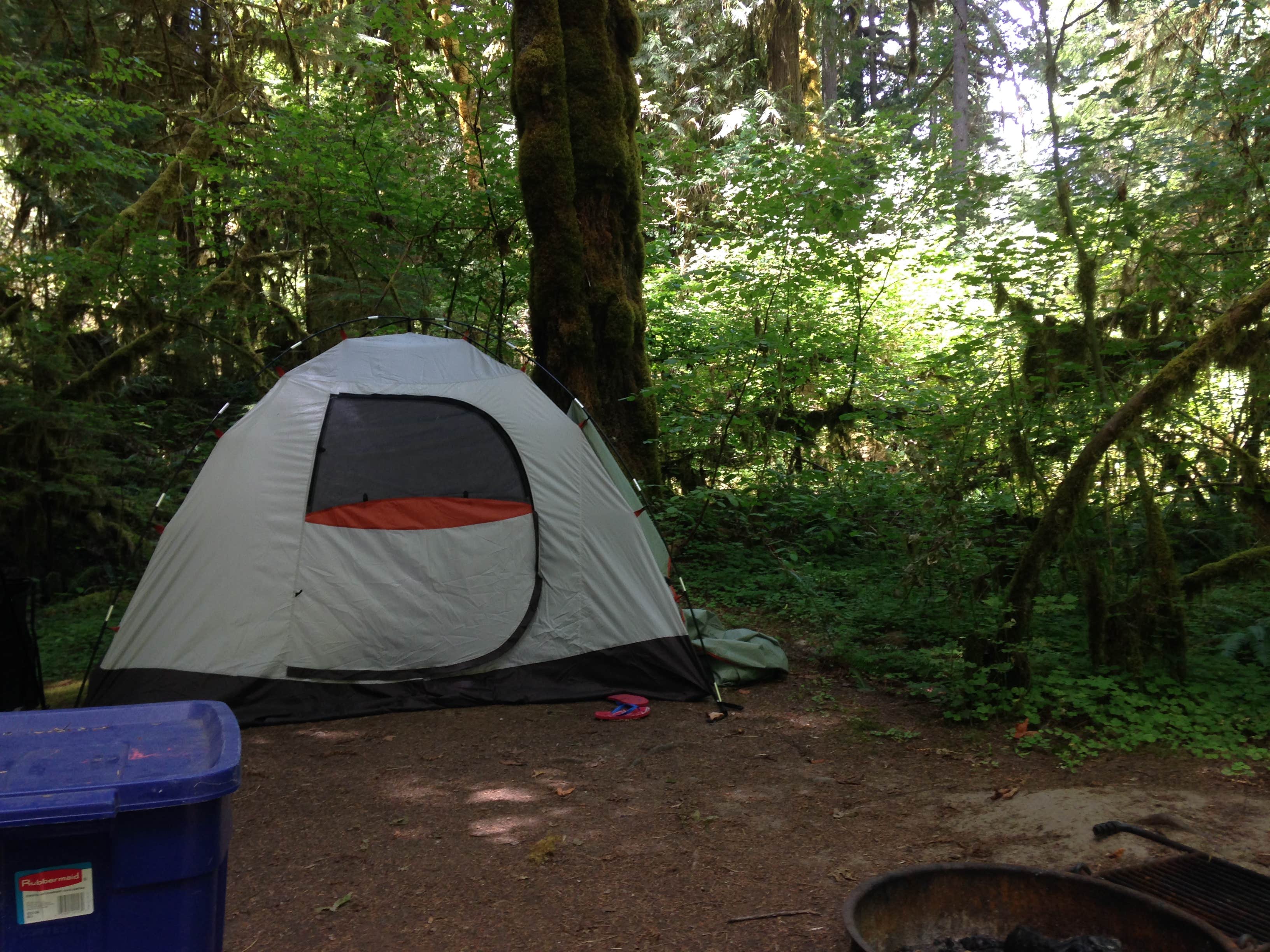 Camper submitted image from Horse Creek Group Campground - 4