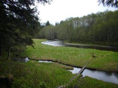 Camper submitted image from Admiralty Cove Cabin - 5