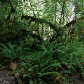 Review photo of Horse Creek Group Campground by Amber D., September 7, 2016