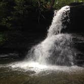 Review photo of Holly River State Park Campground by Dave V., September 7, 2016