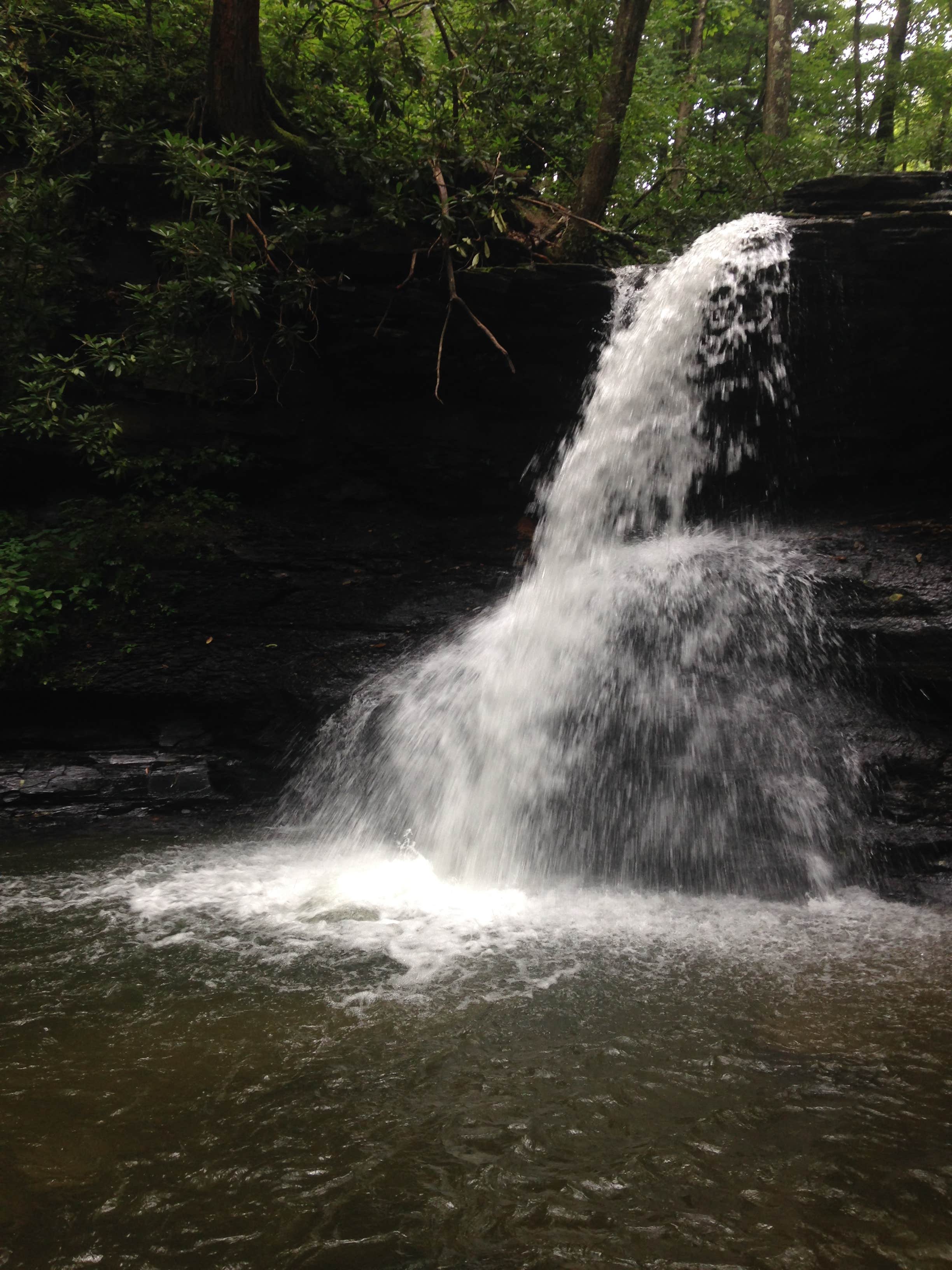 Camper submitted image from Holly River State Park Campground - 3