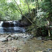 Review photo of Holly River State Park Campground by Dave V., September 7, 2016