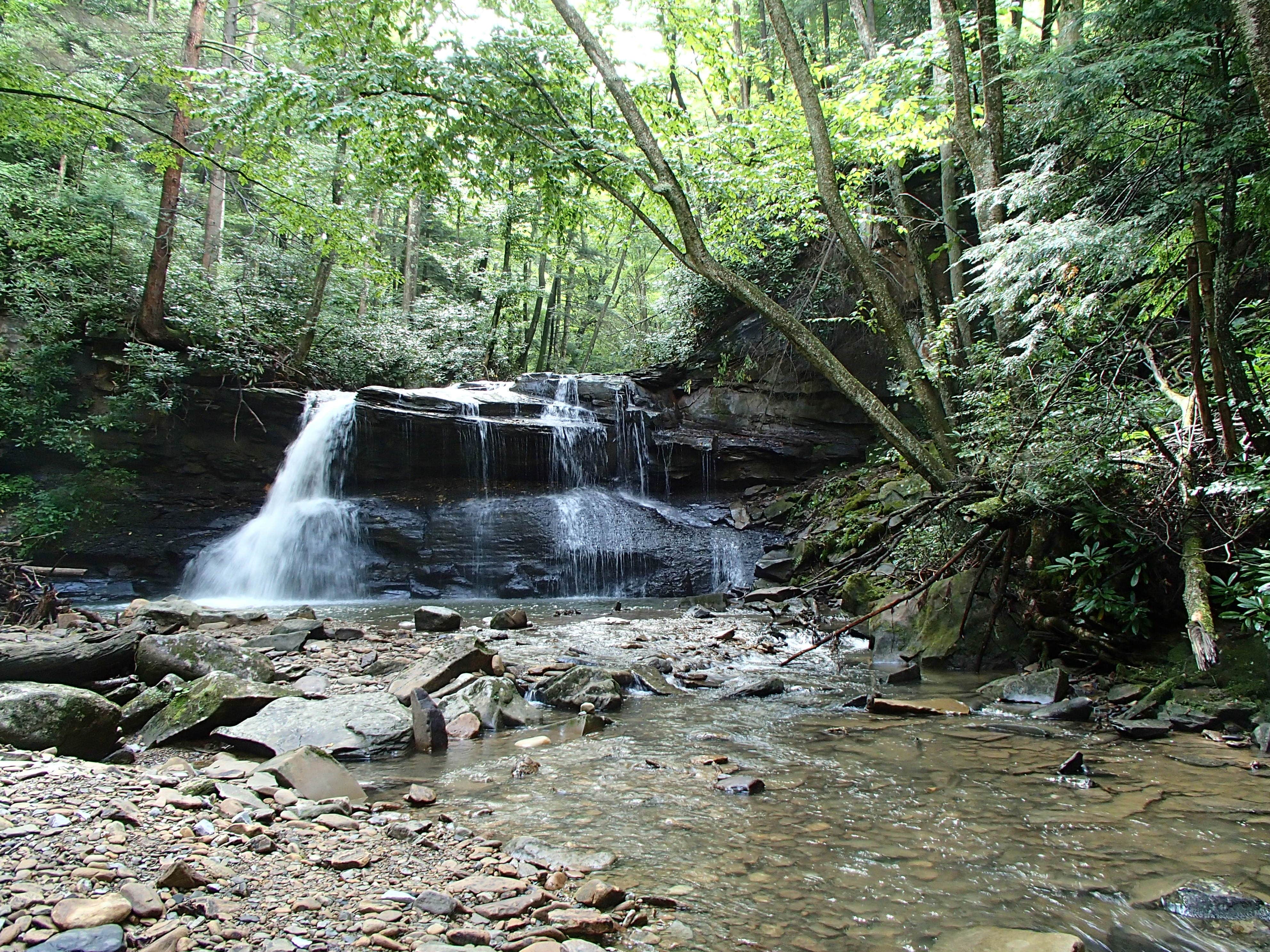 Camper submitted image from Holly River State Park Campground - 2
