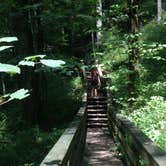 Review photo of Holly River State Park Campground by Dave V., September 7, 2016