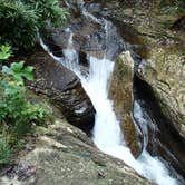 Review photo of Holly River State Park Campground by Dave V., September 7, 2016